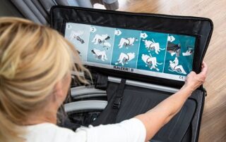 lifting chairs for elderly